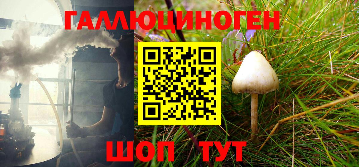 Псилоцибиновые грибы Psilocybine cubensis Холмск